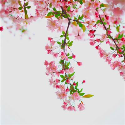荒神记手游下载